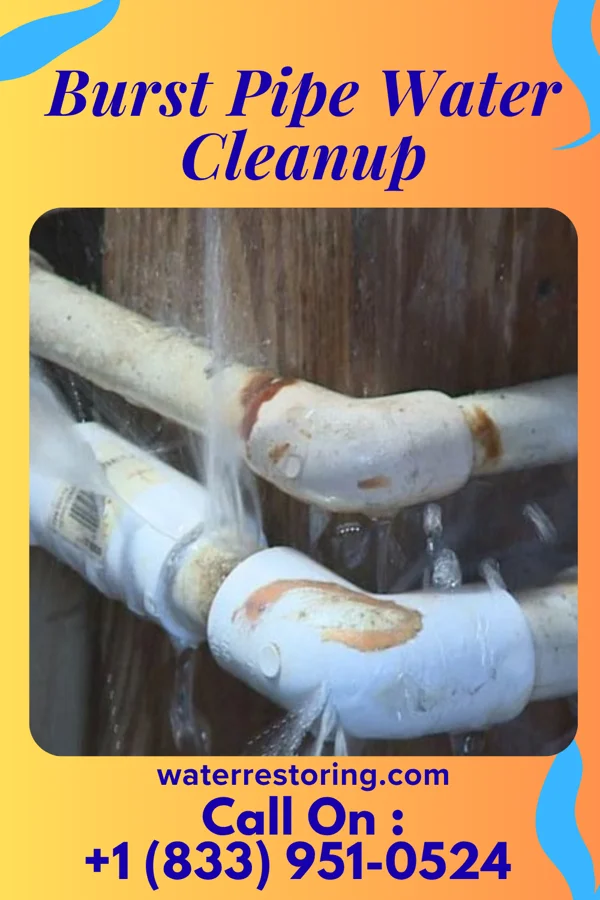 Burst Pipe Water Cleanup in Coon Rapids, IA