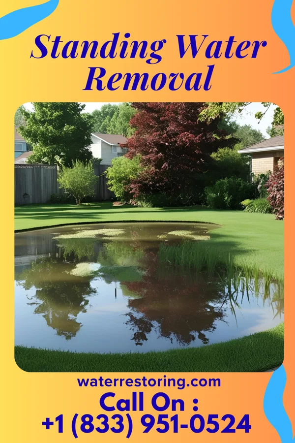 Standing Water Removal in Coon Rapids, IA